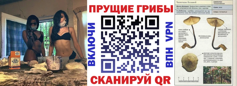 Галлюциногенные грибы GOLDEN TEACHER ссылка на мегу ССЫЛКА Лабинск сколько стоит